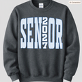 Senior 2027 Blue Striped